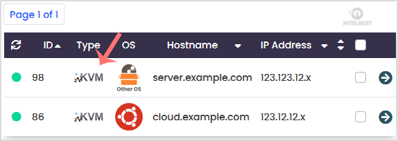 Reselhost | Como verificar a RAM, IP, disco VPS e virtualização no Virtualizor