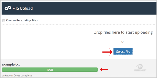 Reselhost | Como fazer upload de arquivos através do cPanel FileManager