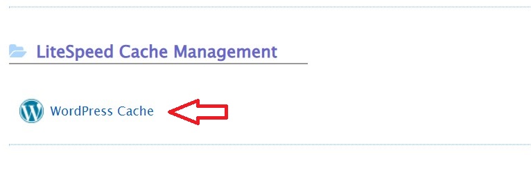 Reselhost | LiteSpeed ​​​​WordPress Cache no cPanel